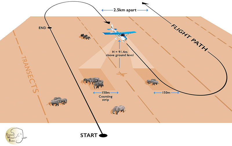 diagram showing flight path of an aerial survey